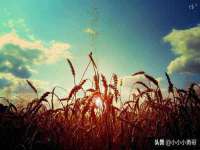 苏州驰峰电子科技有限公司