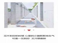 苏州驰峰电子科技有限公司