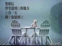 苏州驰峰电子科技有限公司