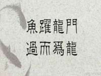 苏州驰峰电子科技有限公司