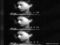 苏州驰峰电子科技有限公司