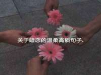 苏州驰峰电子科技有限公司