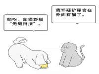 苏州驰峰电子科技有限公司