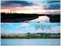 苏州驰峰电子科技有限公司