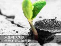 苏州驰峰电子科技有限公司