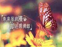苏州驰峰电子科技有限公司