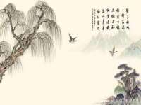 苏州驰峰电子科技有限公司