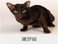 苏州驰峰电子科技有限公司