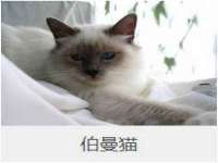 苏州驰峰电子科技有限公司