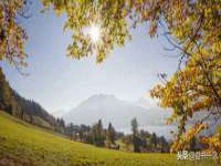 苏州驰峰电子科技有限公司