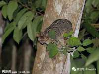 苏州驰峰电子科技有限公司