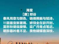 苏州驰峰电子科技有限公司