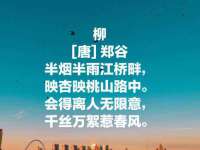 苏州驰峰电子科技有限公司