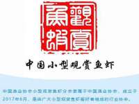 苏州驰峰电子科技有限公司