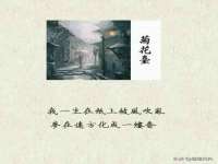 苏州驰峰电子科技有限公司