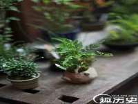 苏州驰峰电子科技有限公司
