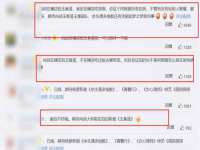 苏州驰峰电子科技有限公司