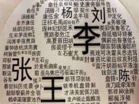 苏州驰峰电子科技有限公司