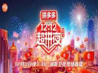 苏州驰峰电子科技有限公司
