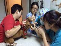 苏州驰峰电子科技有限公司