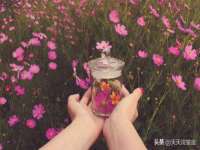苏州驰峰电子科技有限公司