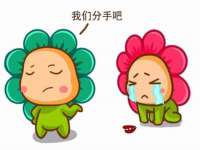 苏州驰峰电子科技有限公司