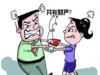 苏州驰峰电子科技有限公司