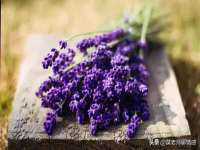 苏州驰峰电子科技有限公司