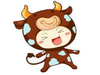 苏州驰峰电子科技有限公司