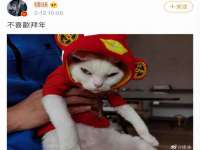 苏州驰峰电子科技有限公司